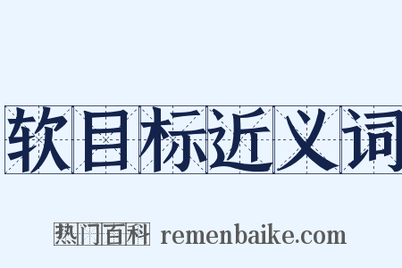 软目标近义词是什么意思的图片